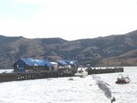 Albums/20060200-New Zealand 2006/20060203-Banks_Akaroa/9